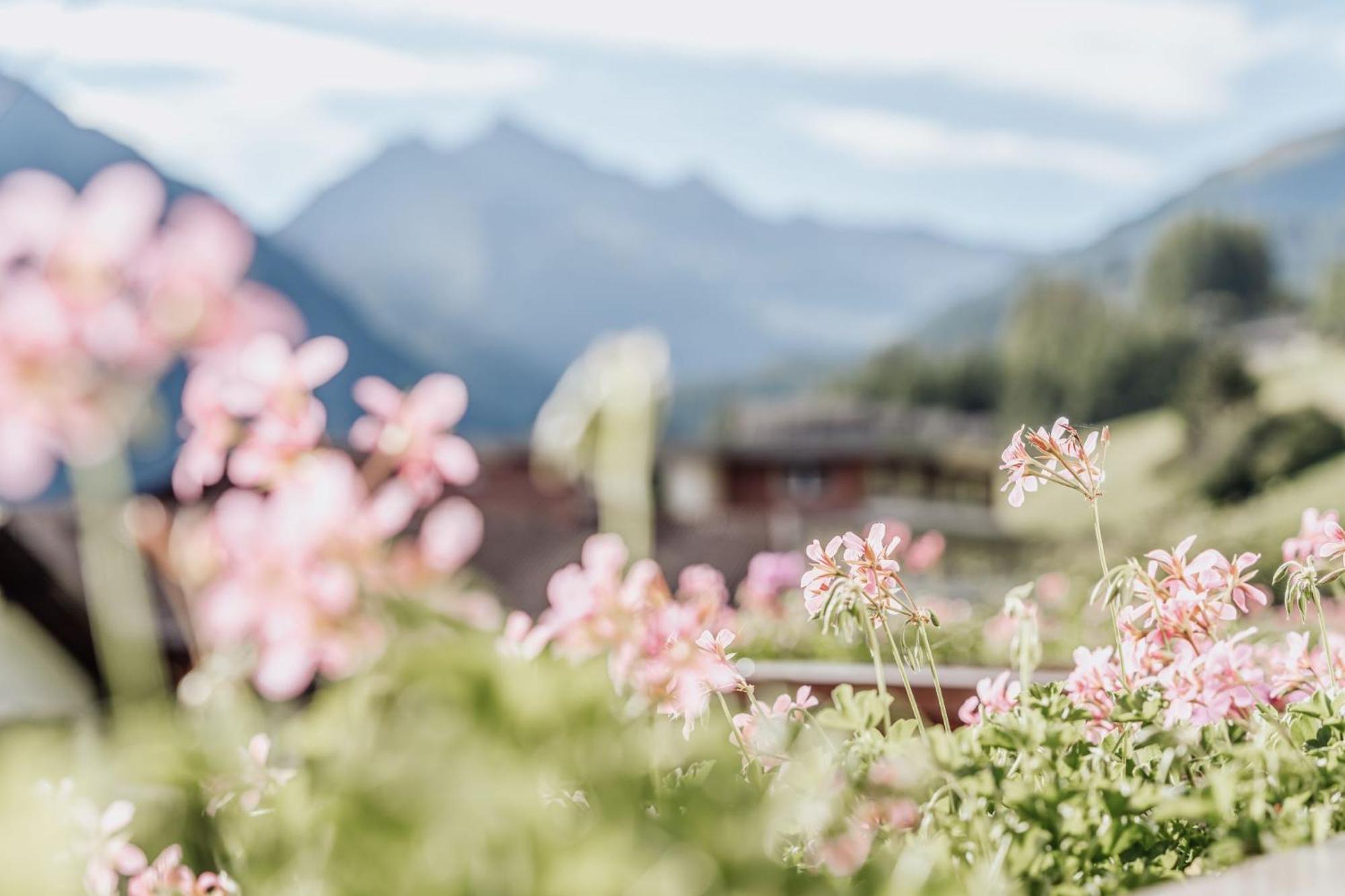 ゼルデン Auer-Fiegl Bed & Breakfast エクステリア 写真